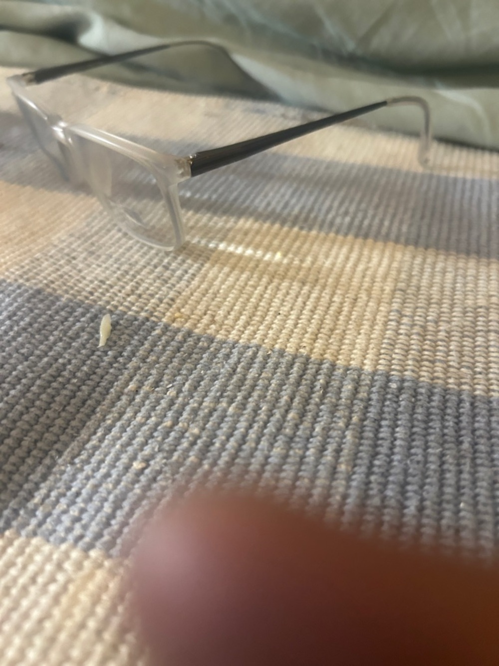 badgley mischka royal titanium Sleek Clear Frame Glasses with Black Temples